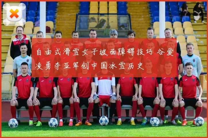 自由式滑雪女子坡面障碍技巧 谷爱凌勇夺亚军创中国冰雪历史