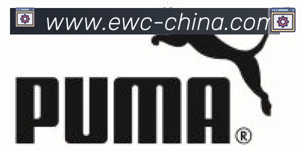 EWC电竞世界杯合作伙伴